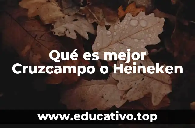 Qué es mejor Cruzcampo o Heineken