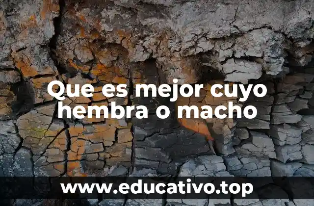 Factores clave a considerar antes de elegir