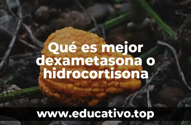Qué es mejor dexametasona o hidrocortisona