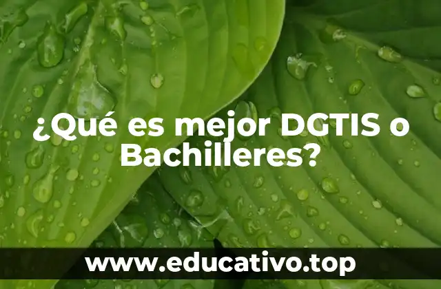 ¿Qué es mejor DGTIS o Bachilleres?