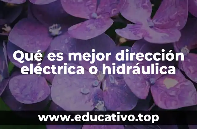 Qué es mejor dirección eléctrica o hidráulica