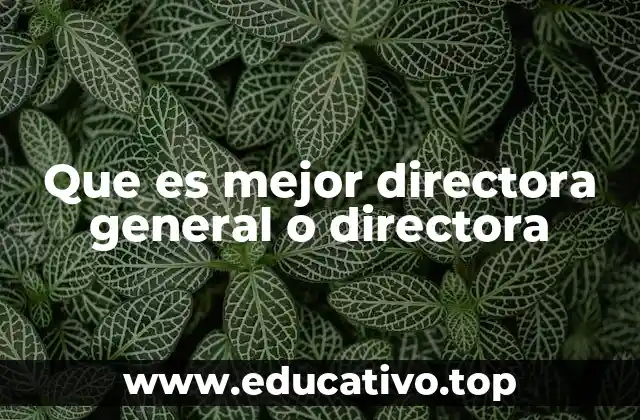 Que es mejor directora general o directora
