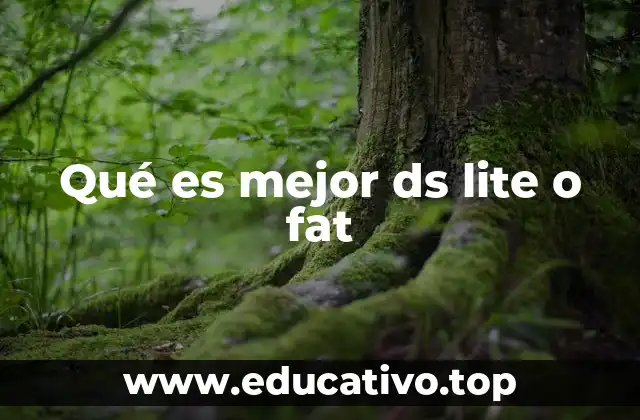 Qué es mejor ds lite o fat