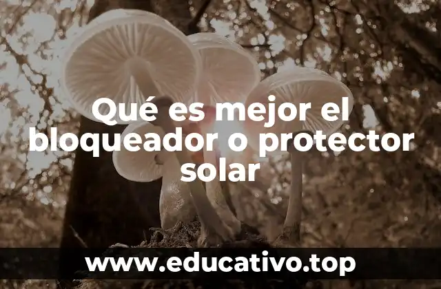 Qué es mejor el bloqueador o protector solar