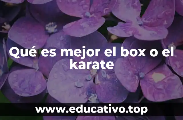 Qué es mejor el box o el karate
