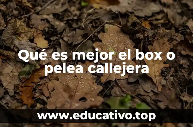 Qué es mejor el box o pelea callejera