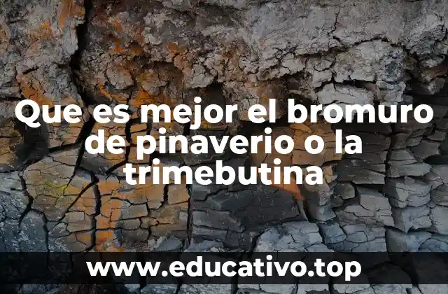 ¿Cuál es el impacto en la salud digestiva?