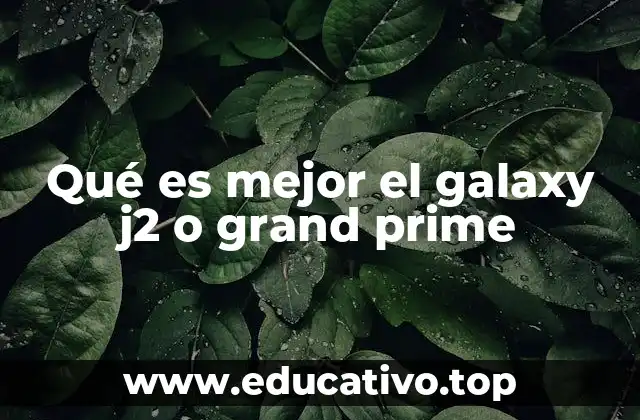 Características clave para elegir entre ambos modelos
