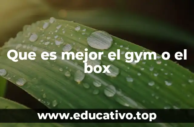 Que es mejor el gym o el box