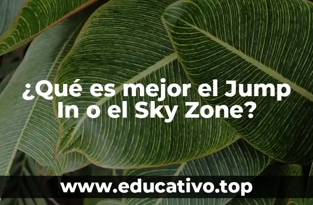 ¿Qué es mejor el Jump In o el Sky Zone?