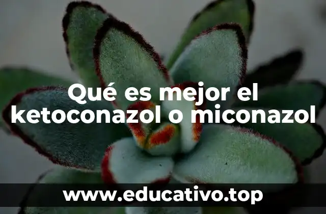 Diferencias entre los tratamientos antifúngicos sistémicos y tópicos