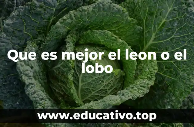 Que es mejor el leon o el lobo