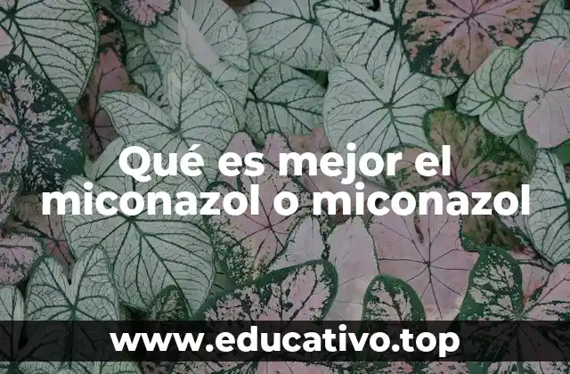 Qué es mejor el miconazol o miconazol