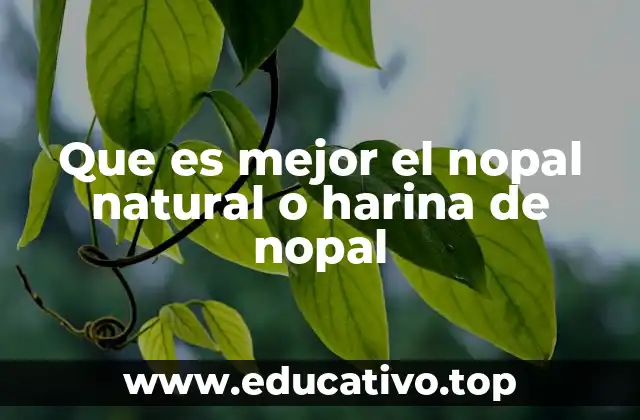 Que es mejor el nopal natural o harina de nopal