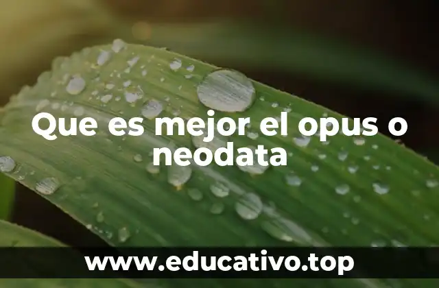 Que es mejor el opus o neodata