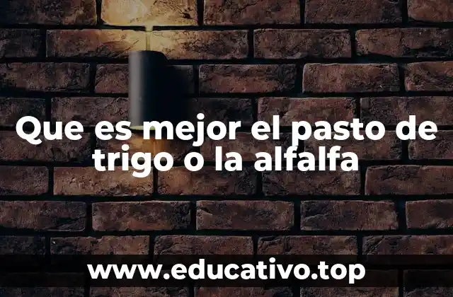 Que es mejor el pasto de trigo o la alfalfa