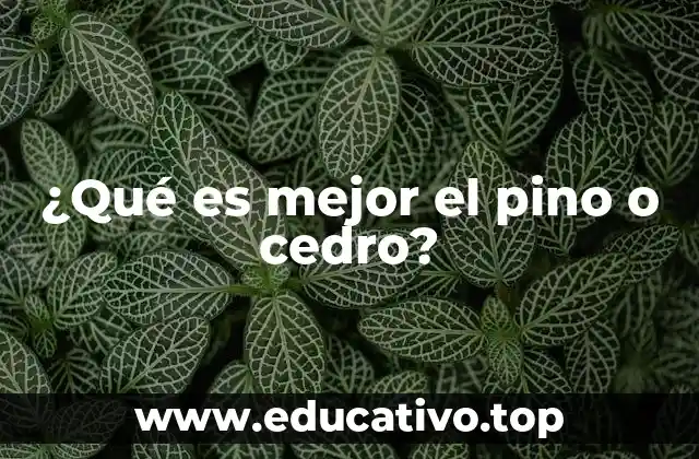 ¿Qué es mejor el pino o cedro?