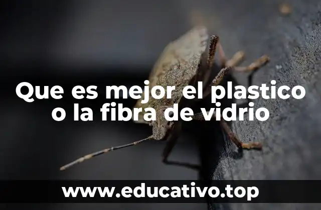 Que es mejor el plastico o la fibra de vidrio