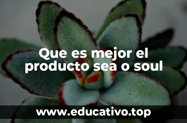 Que es mejor el producto sea o soul