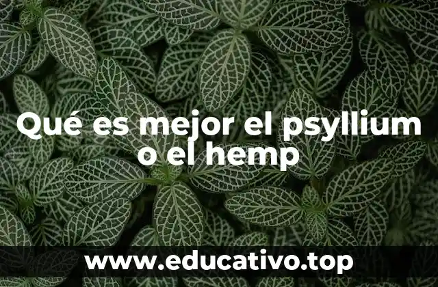 Qué es mejor el psyllium o el hemp