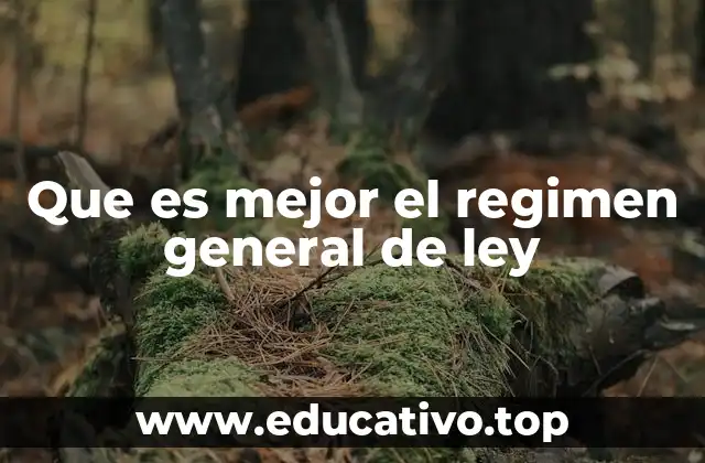 Que es mejor el regimen general de ley