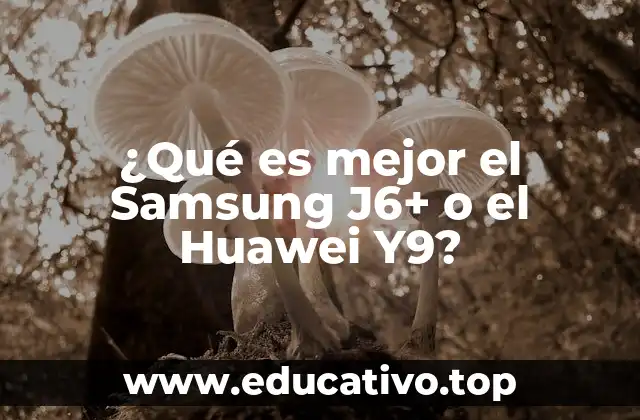 ¿Qué es mejor el Samsung J6+ o el Huawei Y9?