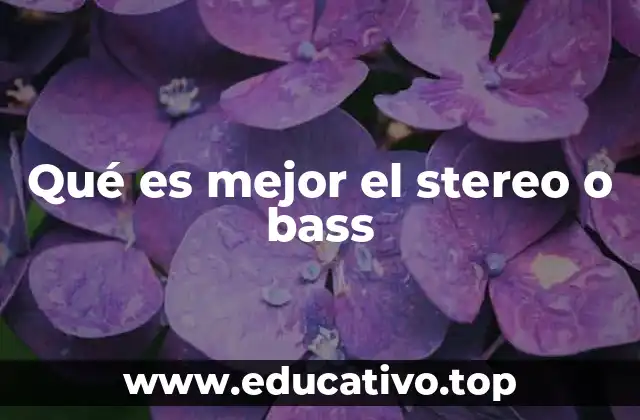 Qué es mejor el stereo o bass