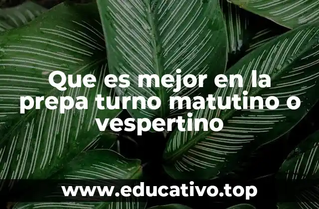 Que es mejor en la prepa turno matutino o vespertino