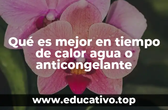 Qué es mejor en tiempo de calor agua o anticongelante