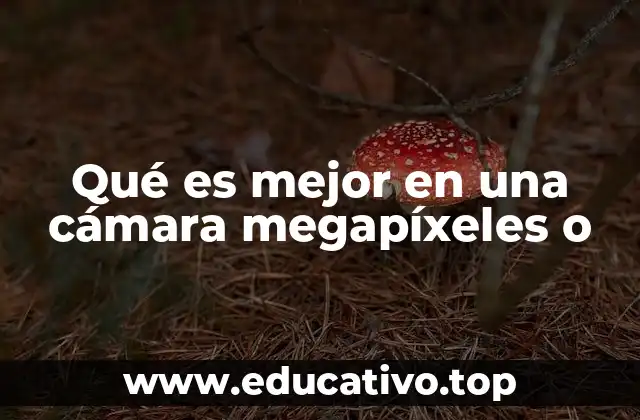 Qué es mejor en una cámara megapíxeles o