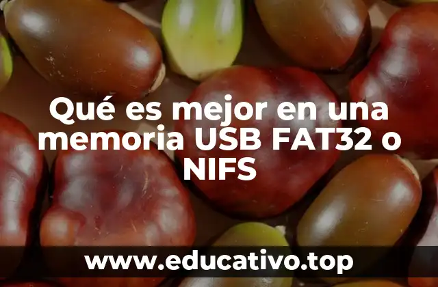 Qué es mejor en una memoria USB FAT32 o NIFS
