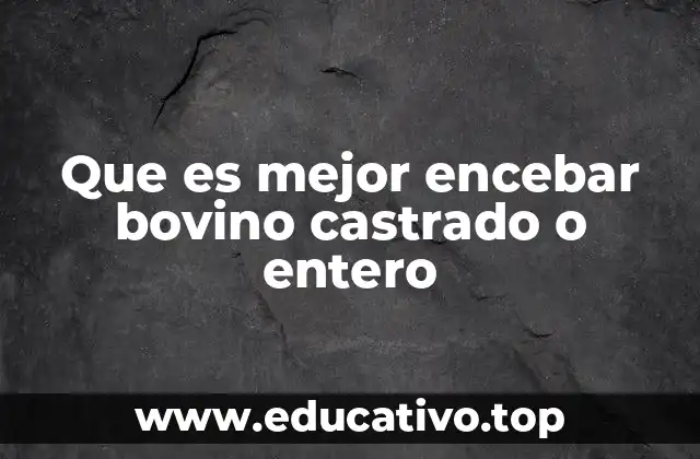 Que es mejor encebar bovino castrado o entero