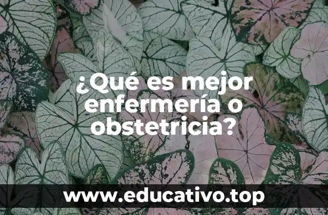 ¿Qué es mejor enfermería o obstetricia?