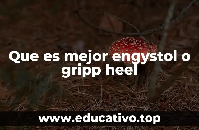 Cuál de los dos tratamientos aborda mejor los síntomas de la gripe