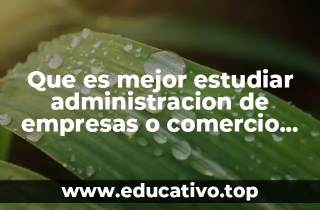 Que es mejor estudiar administracion de empresas o comercio internacional