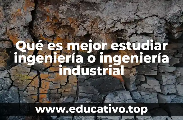 Comparando la formación académica y las salidas laborales