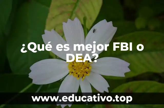 El papel del FBI y la DEA en la seguridad nacional