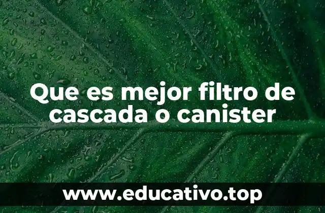 Que es mejor filtro de cascada o canister