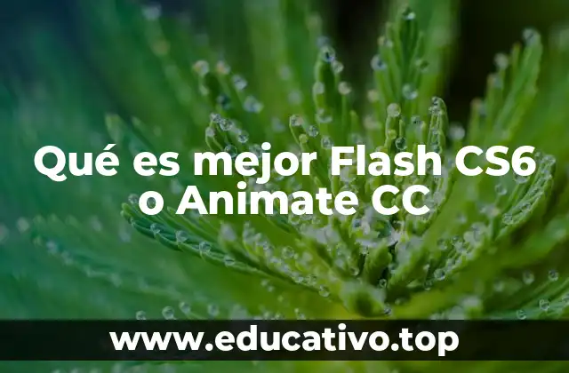 Qué es mejor Flash CS6 o Animate CC