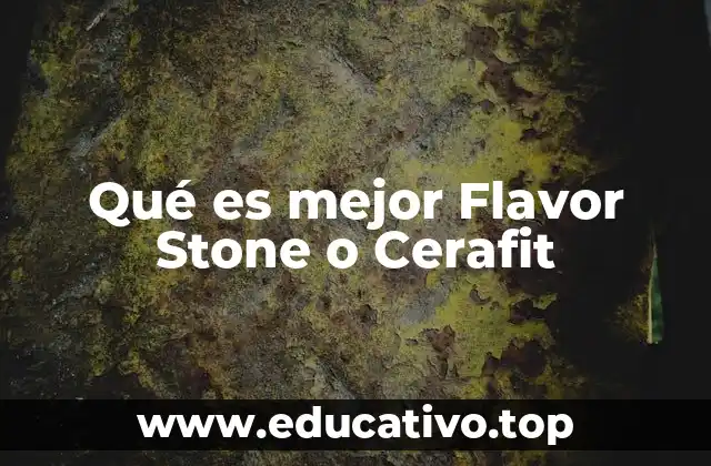 Qué es mejor Flavor Stone o Cerafit