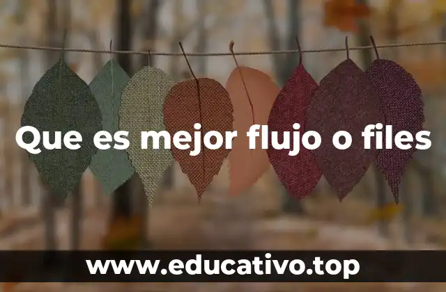 Que es mejor flujo o files
