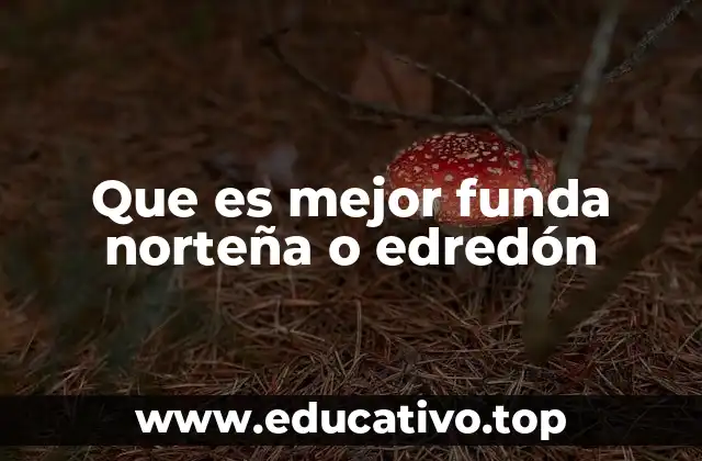 Que es mejor funda norteña o edredón