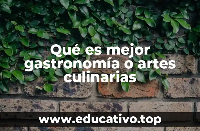 Qué es mejor gastronomía o artes culinarias
