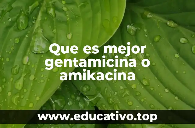 Diferencias clínicas entre ambos aminoglucósidos