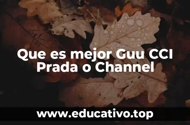 Que es mejor Guu CCI Prada o Channel