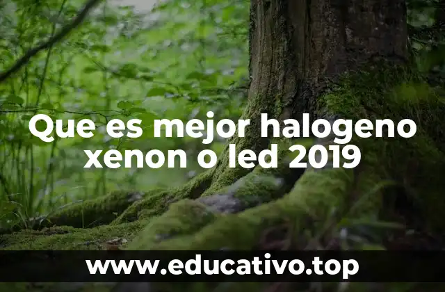 Que es mejor halogeno xenon o led 2019