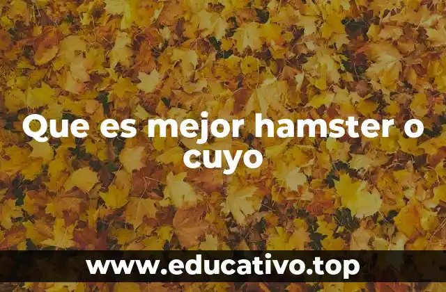 Que es mejor hamster o cuyo