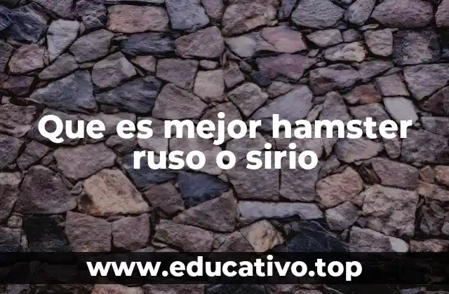 Que es mejor hamster ruso o sirio