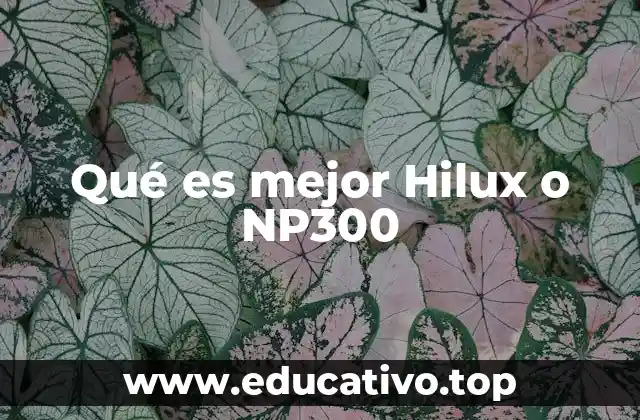 Qué es mejor Hilux o NP300