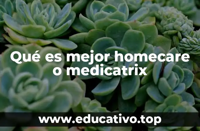 Qué es mejor homecare o medicatrix
